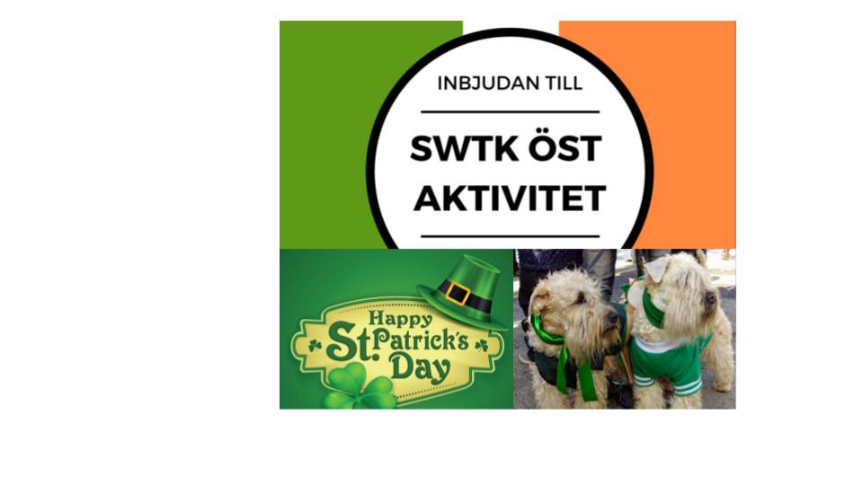 St Patricks parad Stockholm