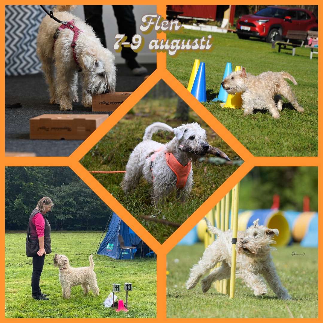 Klubbmästerskap x5, Flen