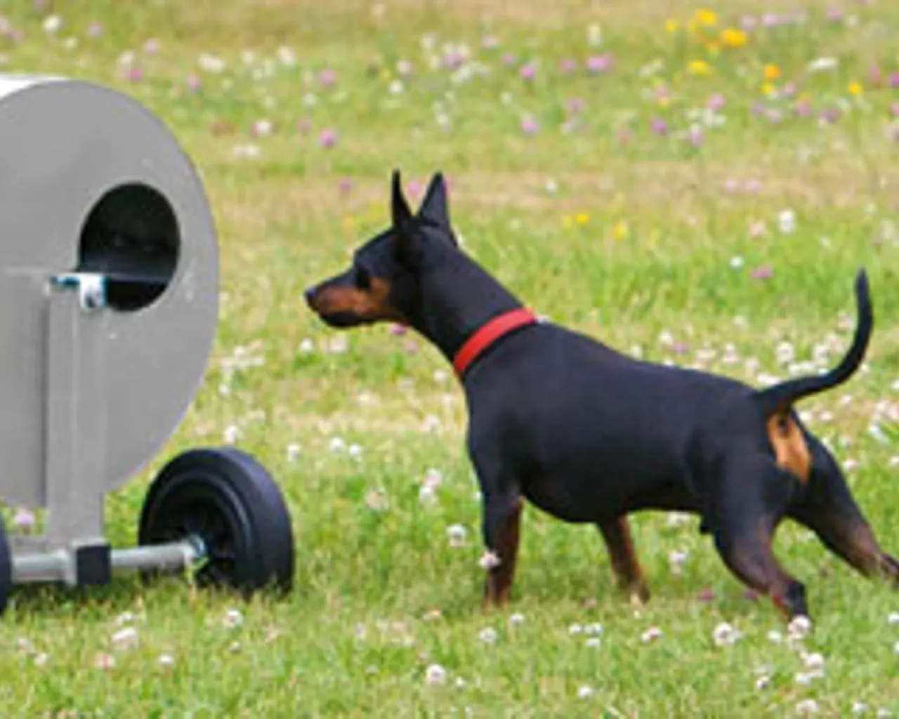 BPH (Beteende och Personlighetsbeskrivning), Uddevalla