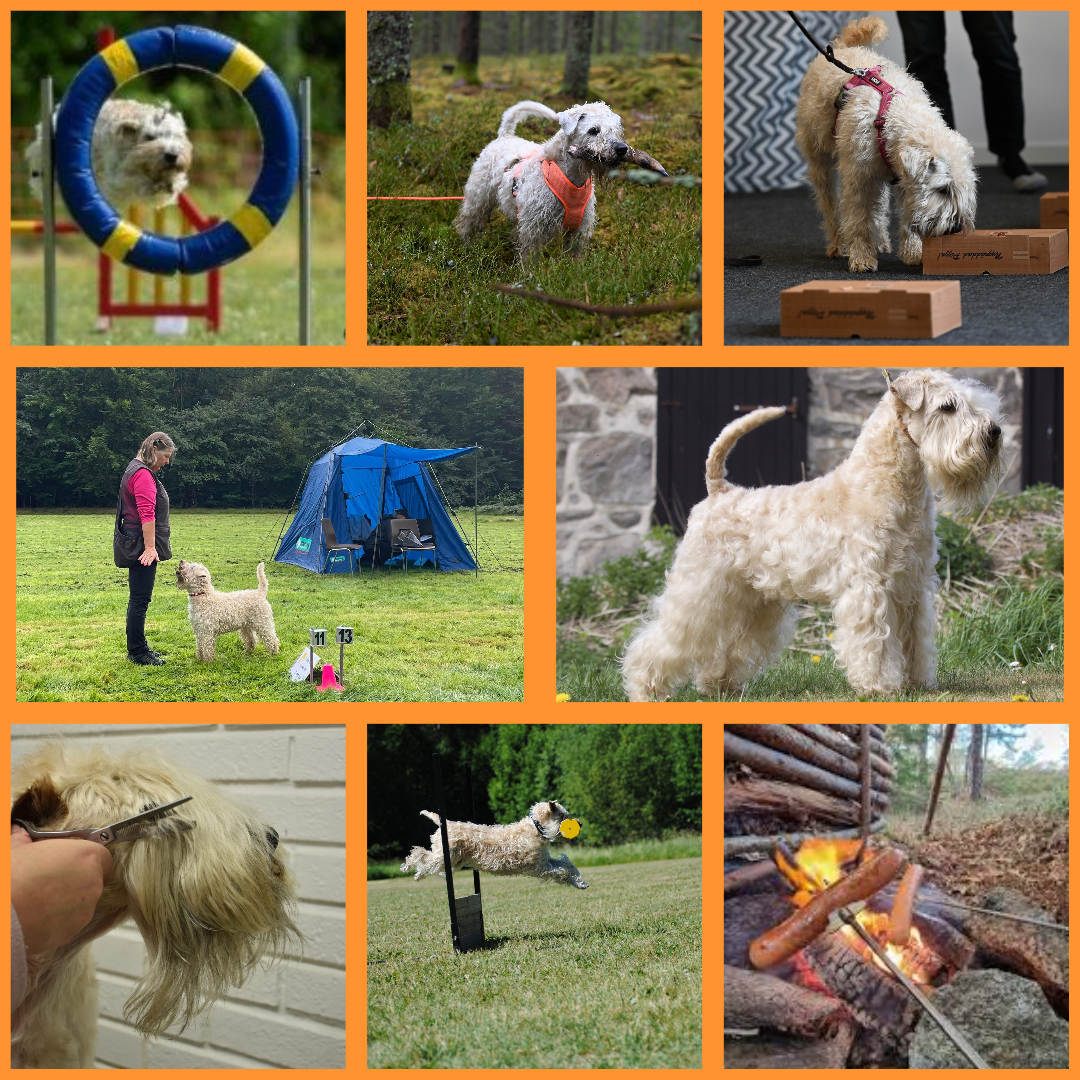 Prova-På-dag Hanaskog, närheten av Kristianstad