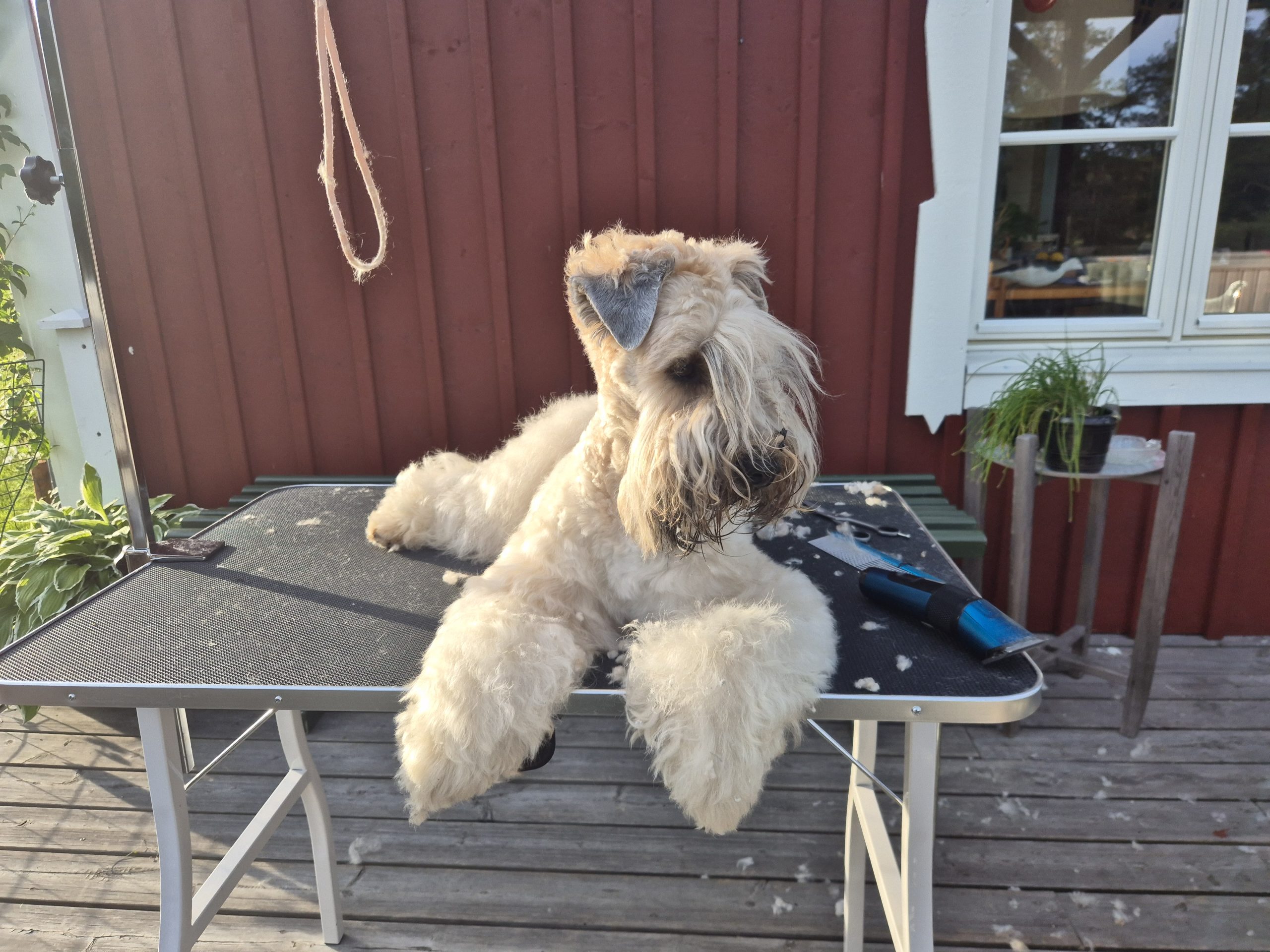 Klippkurs Vardagsklippning, Umeå
